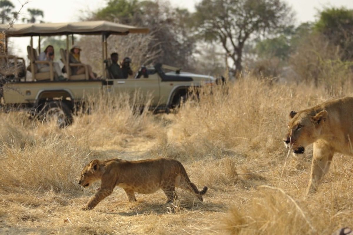 Tanzania Safaris in March - Best Time to Visit Tanzania - Cheetah Safaris