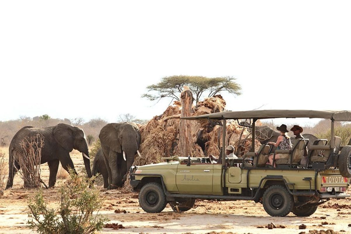 Tanzania Safaris in March - Best Time to Visit Tanzania - Cheetah Safaris