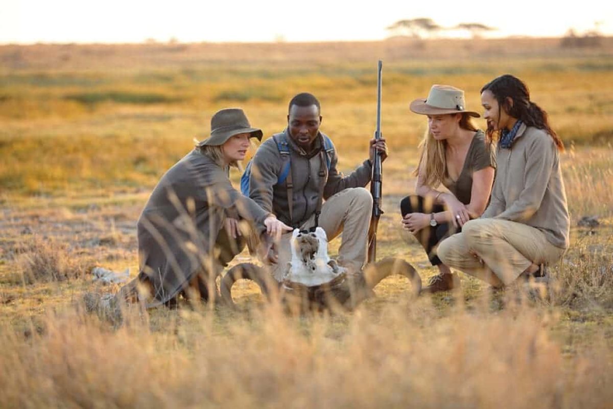 What to pack for an African Safari - Safari packing List - Cheetah