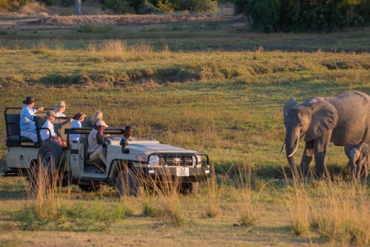 Zambia Family Safaris in Africa - Cheetah Safaris