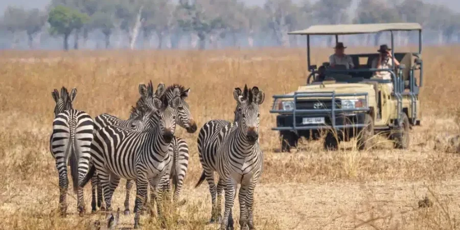 Zambia Safaris - African Safaris - Featured Image - Cheetah Safaris