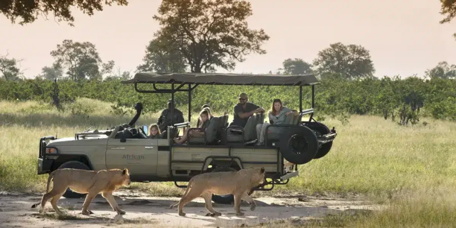 Zimbabwe Safaris - African Safaris - Featured Image - Cheetah Safaris