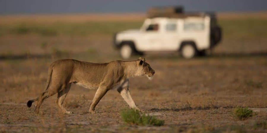 Liuwa Plains National Park - Zambia