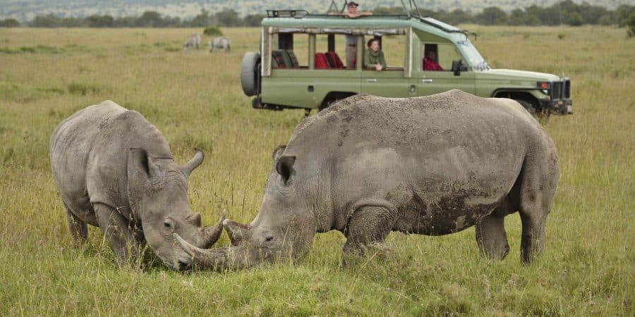 ol pejeta conservancy