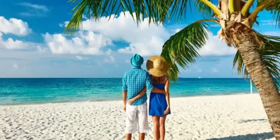 Bush to Beach Safaris - Kenya Bush to Beach Safaris - Bush to Beach Safaris in Kenya - Kenya Safaris - Bush to Beach Kenya Safaris - Cheetah Safaris