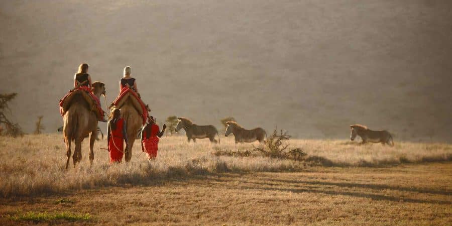 Camel Rides - Walking Safaris - Safari Activities in Africa - Kenya Safaris