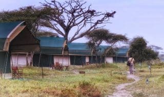 Camps &Amp; Lodges In Ngorongoro Crater - Tanzania Safaris 17 camps lodges in ngorongoro crater tanzania safaris cheetah safaris 5