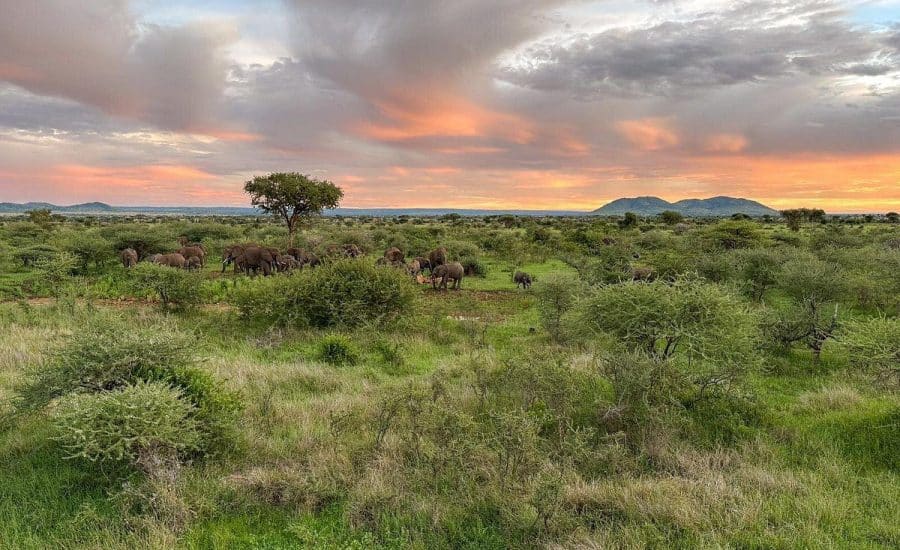 Kuoom Serengeti Camp