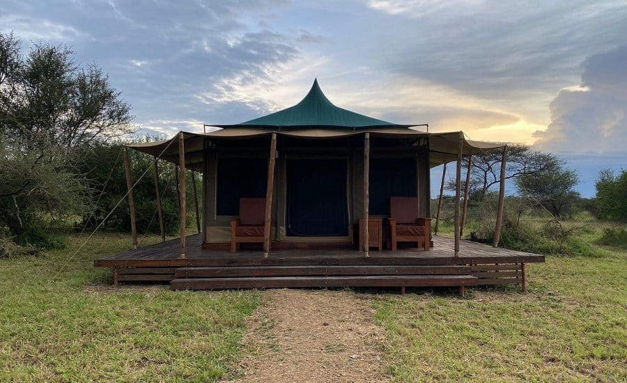 Into Wild Africa Camp