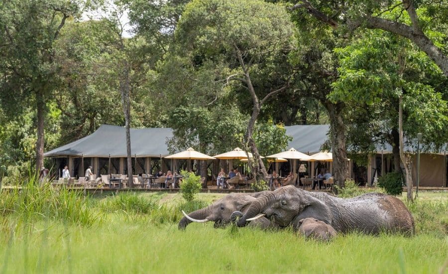 Little Governors' Camp Masai Mara