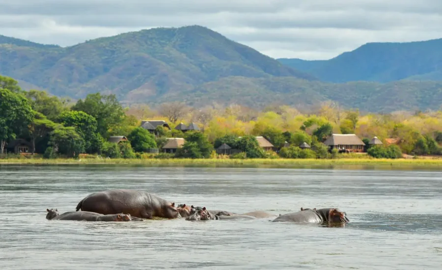 Royal Zambezi Lodge