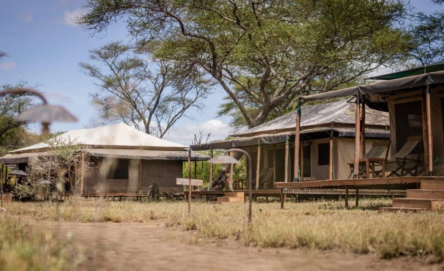 Baobab Central Serengeti Camp
