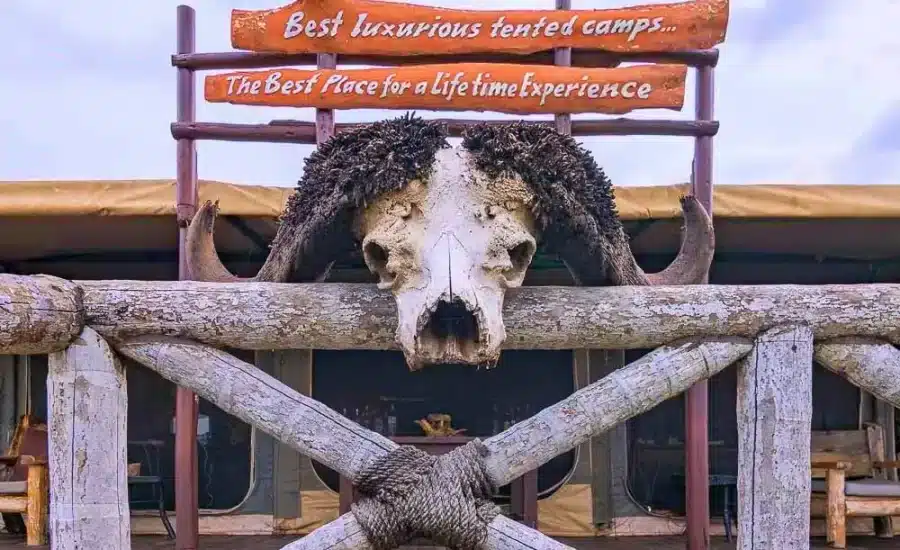 Serengeti Tanzania Bush Camp