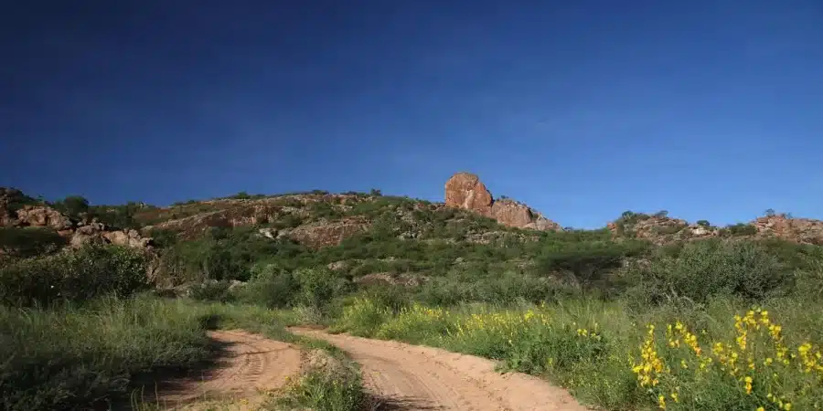 Flying Safari to Samburu and Maasai Mara