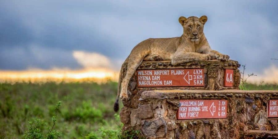 Nairobi National Park