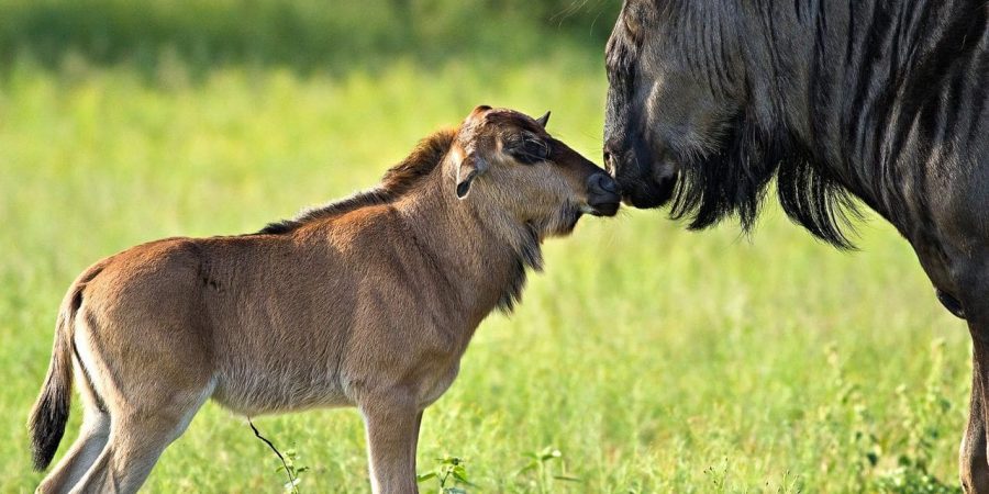 nyaruswiga 04d qky8lyeeasaeykn20rqmd0lwfn15051qi70n20v9n8