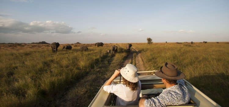 Reasons To Book A Kenya And Tanzania Safari Tour Reasons To Book a Kenya and Tanzania Safari Tour