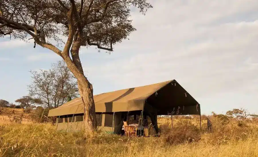 Nomad Serengeti Safari Camp