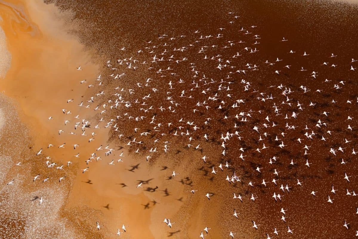 Lake Logipi - Helicopter Safaris in Kenya - Scenic Tours in Kenya