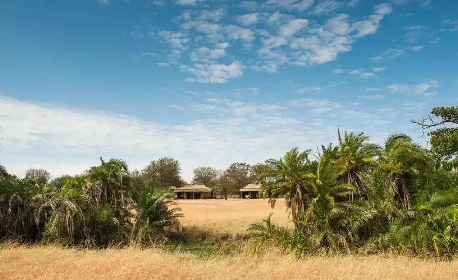 Serengeti Bologonja Camp