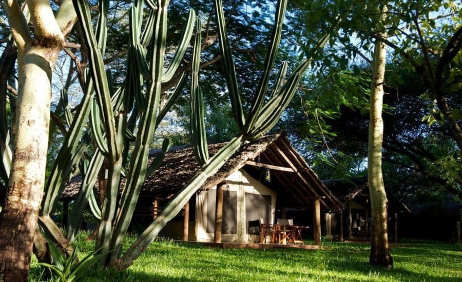 voyager-ziwani-galleryvt-105