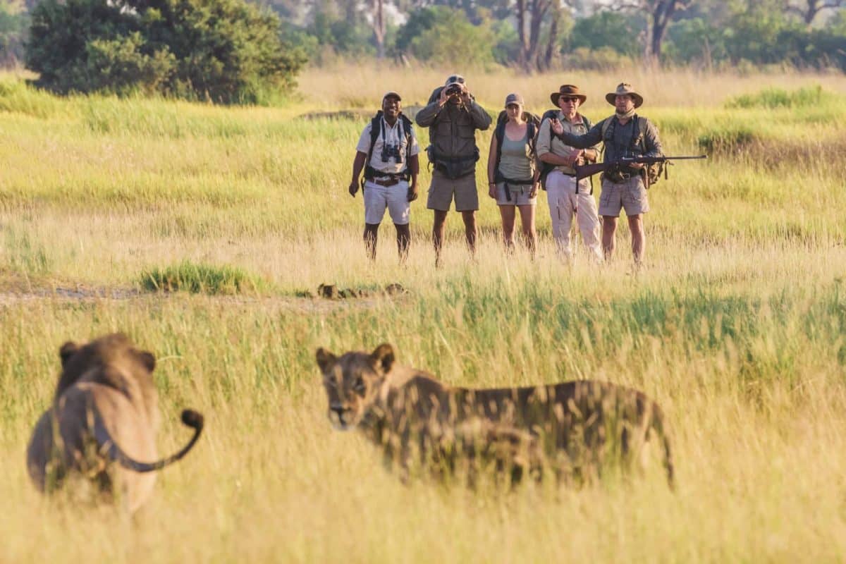 Botswana Safaris - Luxury Botswana Safaris