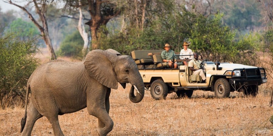 North Luangwa National Park