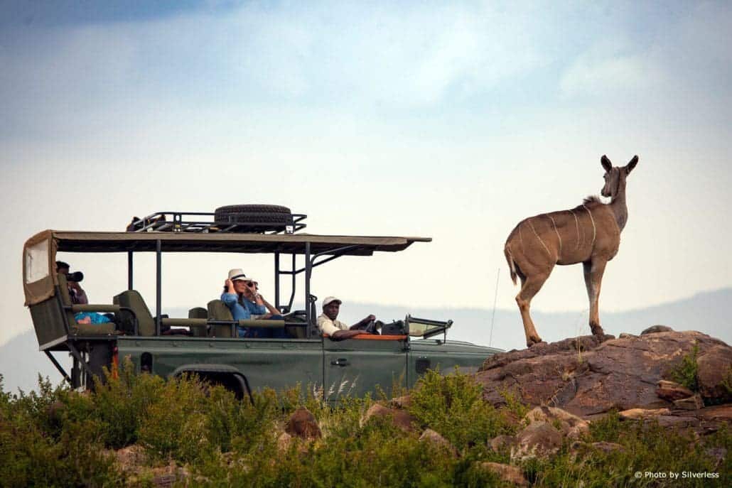 Loisaba Conservancy - Cheetah Revolution Safaris