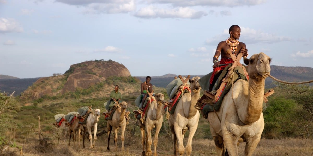 Things To Know Before Visiting Kenya: Essential Travel Tips For First-Time Visitors 1 Things to Know Before Vising Kenya
