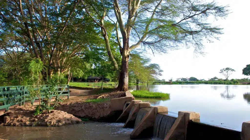 Voyager Ziwani Camp