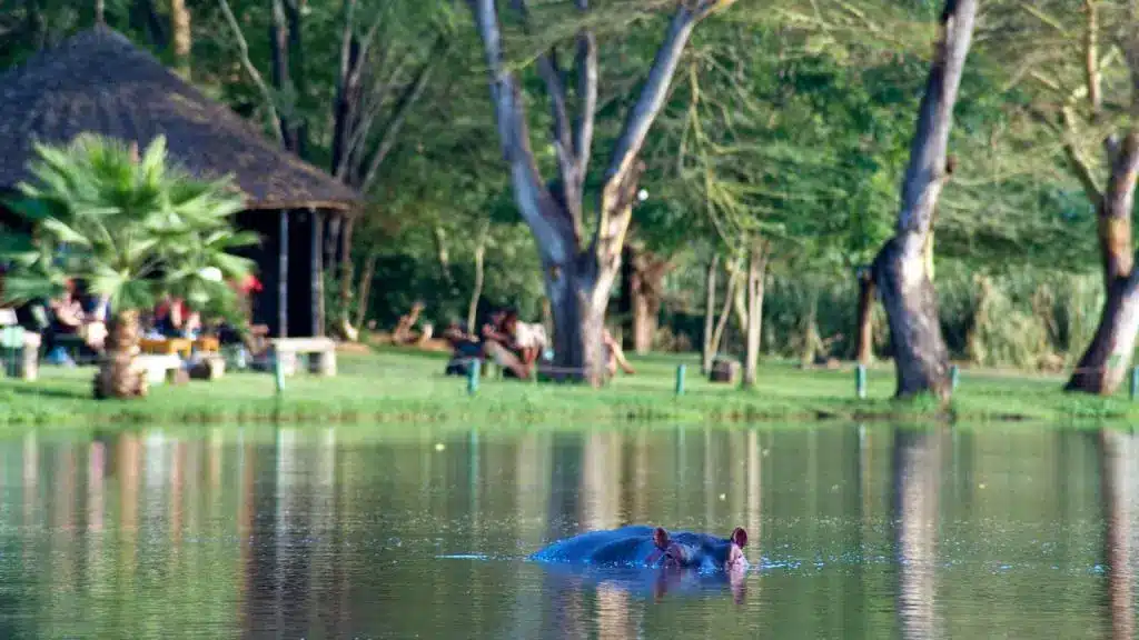 Voyager Ziwani Camp