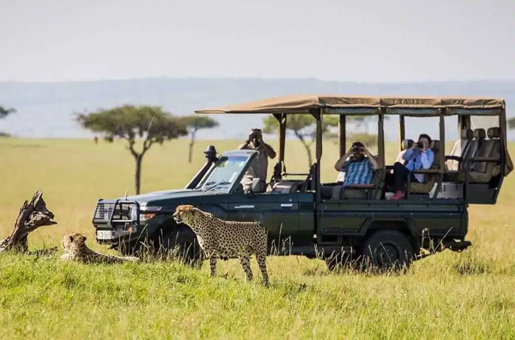 Kenya Safari In The Rainy Season: When To Go, What To Expect, And Travel Tips 5 Rainy Season in Kenya - Kenya Safaris - Mara.