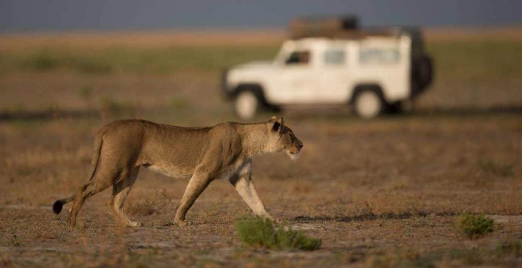 Liuwa Plains National Park - Zambia