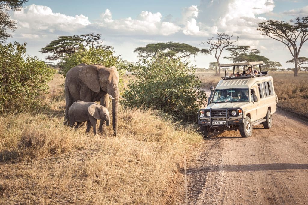 Serengeti National Park