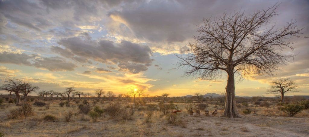 jabali private house ruaha national park camps cheetah safaris 1