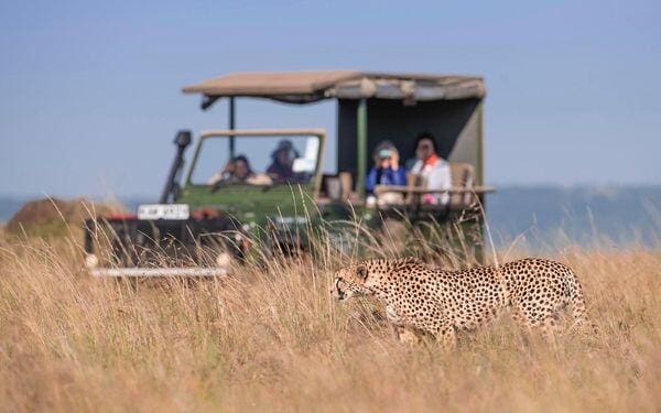 African Safari Destinations - 10 Things to Avoid on Safari - What not to do on a safari in Africa - Kenya Safaris - Cheetah Safaris