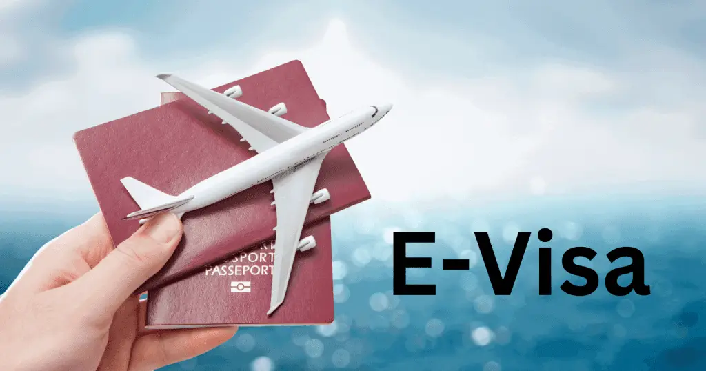What To Expect On Your First African Safari 9 Visa Requirements