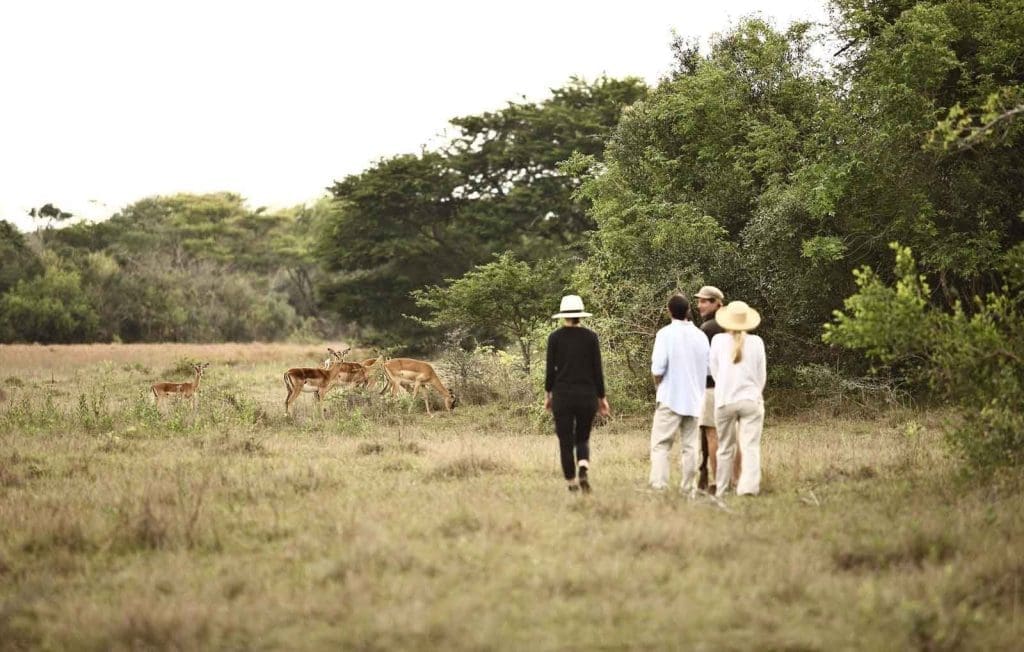 What Is A Game Drive On African Safaris? 25 Tanzania Safaris -Tanzania Safari Holidays - Serengeti Safaris - Serengeti National Park - Cheetah Safaris