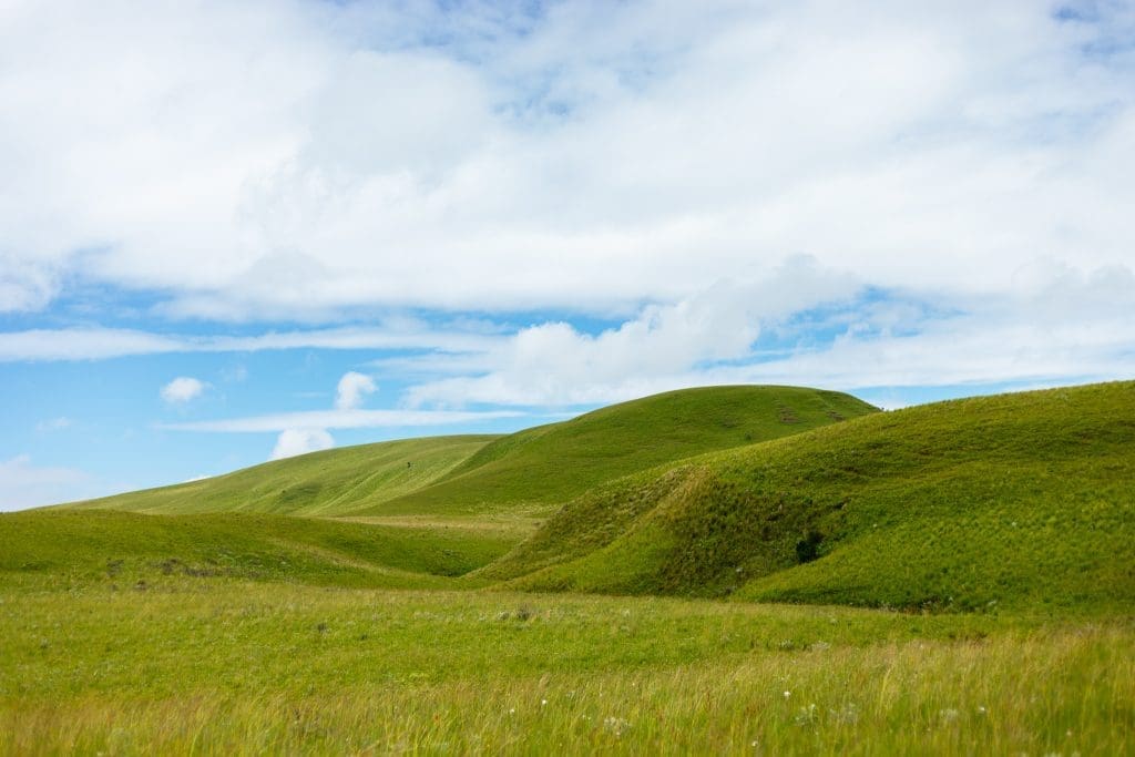Kitulo National Park 15 Kitulo National Park