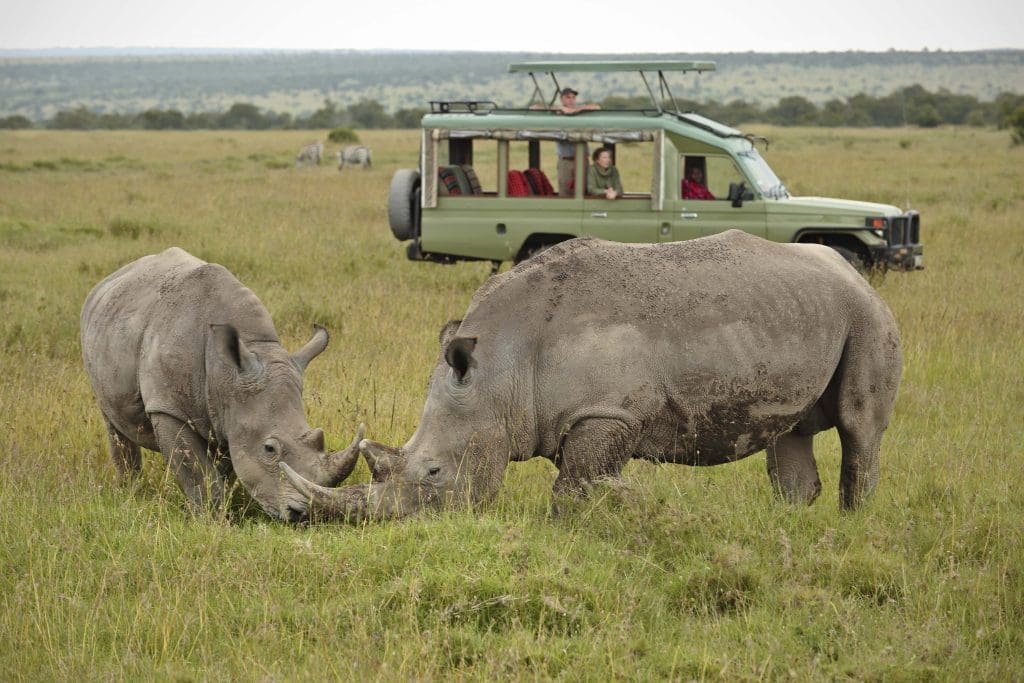 ol pejeta conservancy