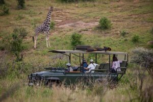 What Is A Game Drive On African Safaris? 11 Honeymoon Safaris in Kenya - Cheetah Safaris