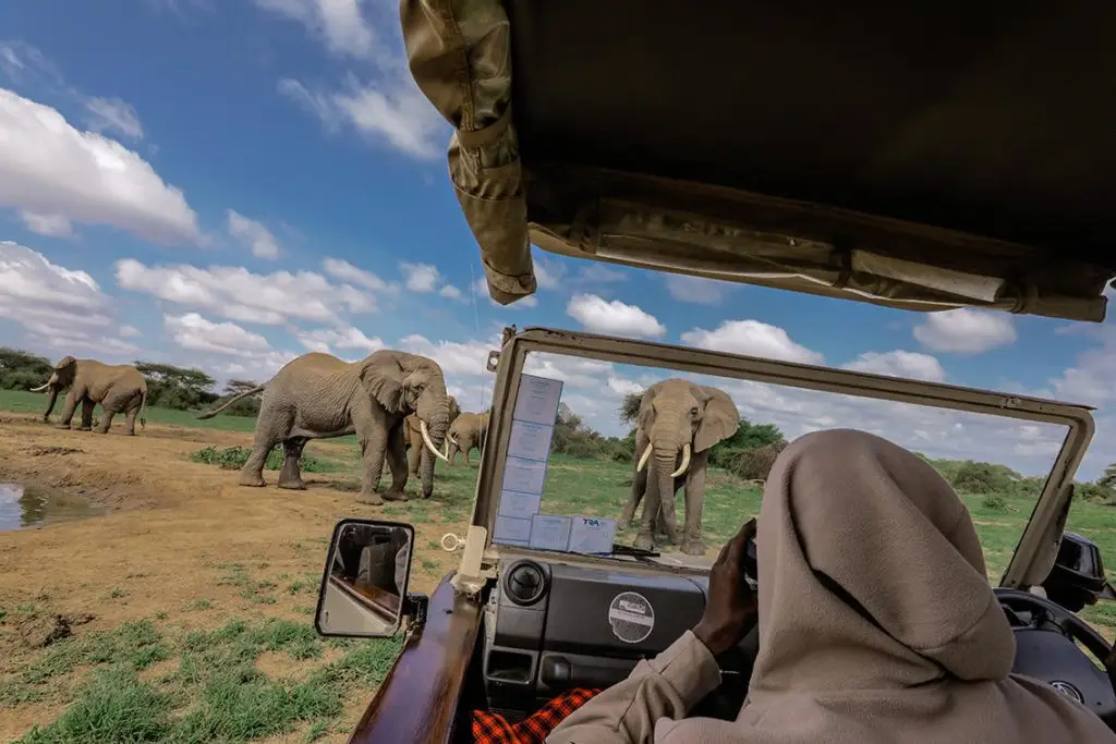 porini amboseli camp
