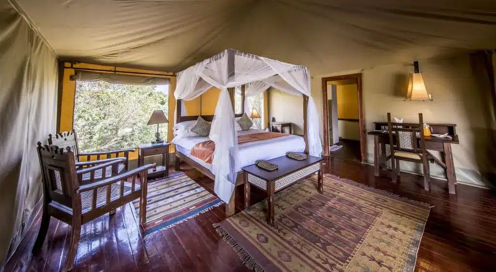 Mara Ashnil Camp