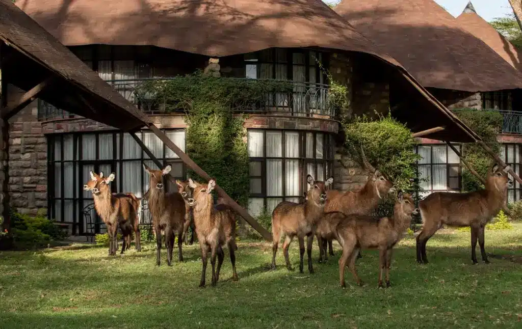 Sopa Lodge Lake Nakuru
