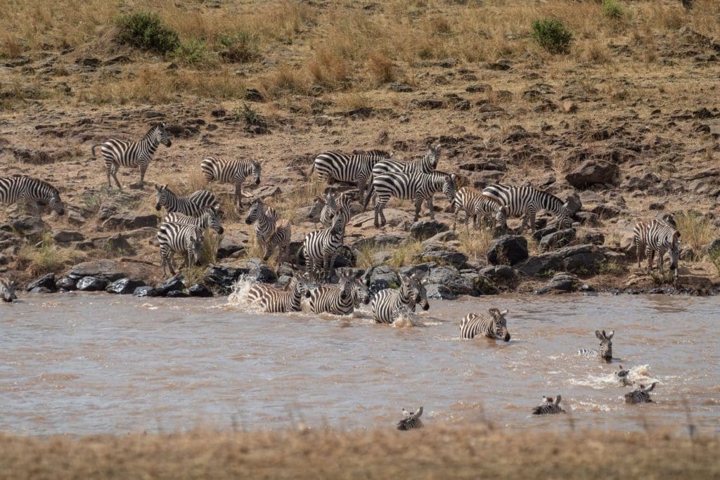 Kilima Camp Maasai Mara