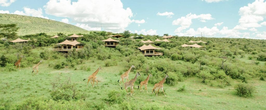 Mara Bushtops Camp