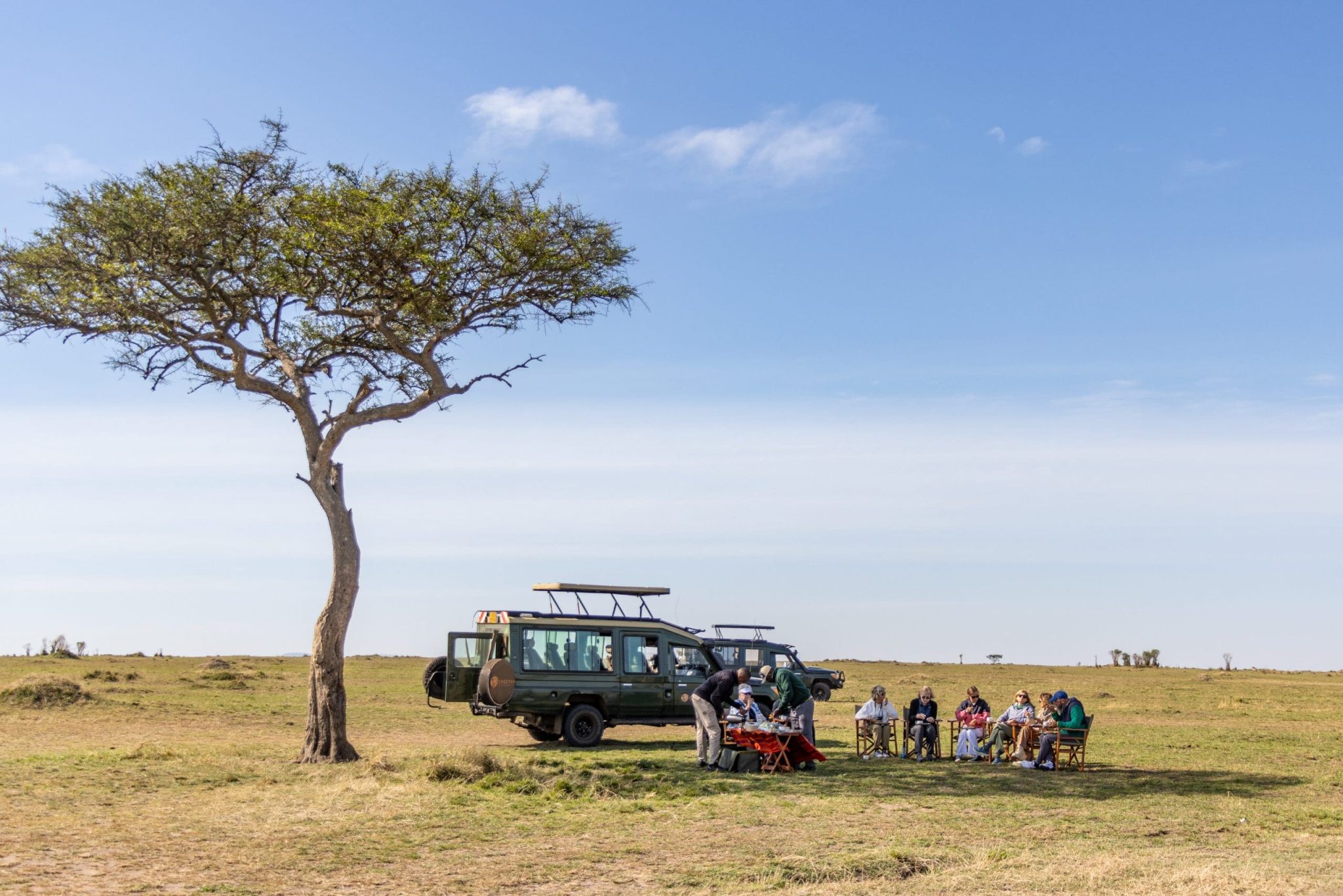 Cheetah Safaris - Luxury African Safaris - Kenya Safaris - African Safari Holidays