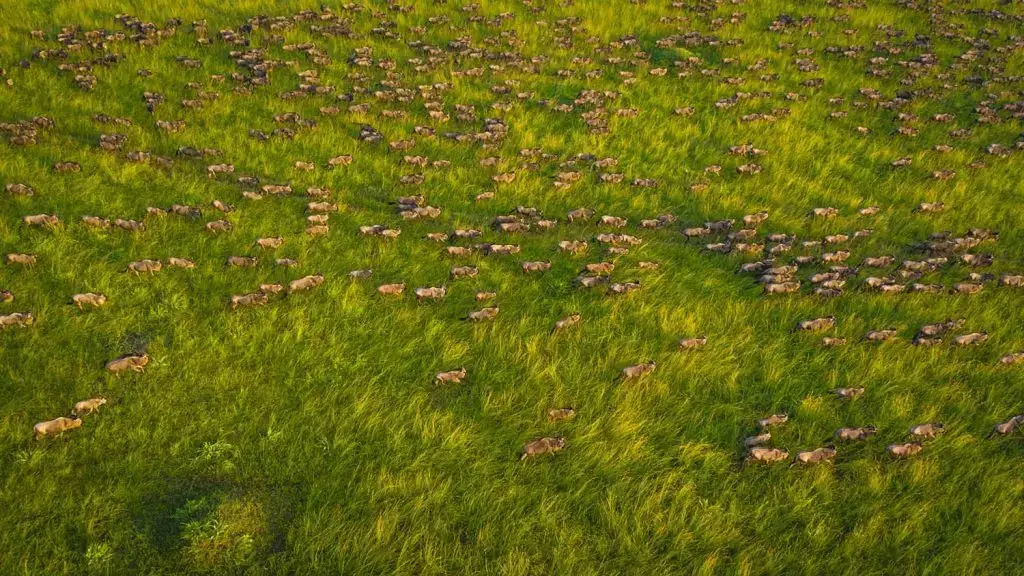 Sala’s Camp