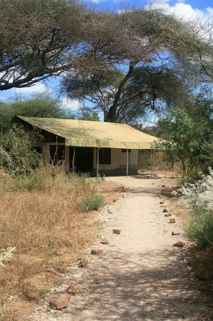 porini amboseli camp