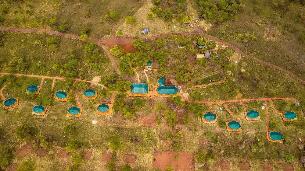 Serengeti Acacia Central